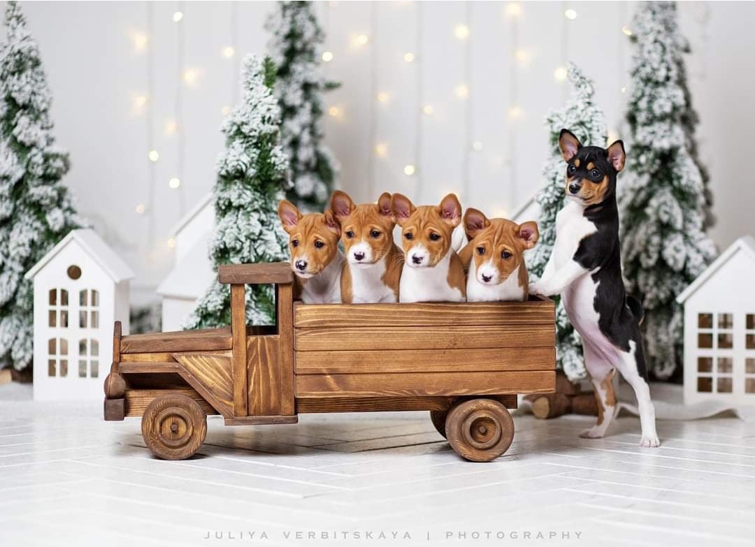 Более 300 выпускников